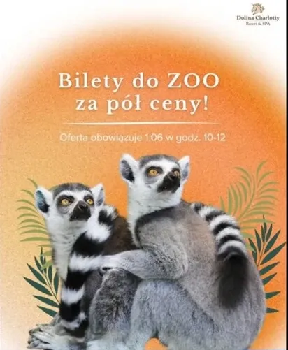 Reklamowa kreacja Dolina Charlotty „Bilety do ZOO za pół ceny!” z dwoma lemurami