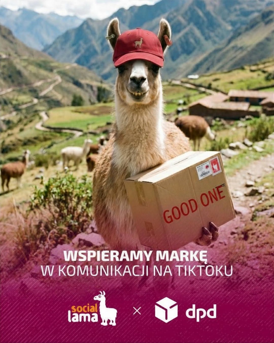 Kreacja Social Lama × DPD — lama z paczką w andyjskiej scenerii