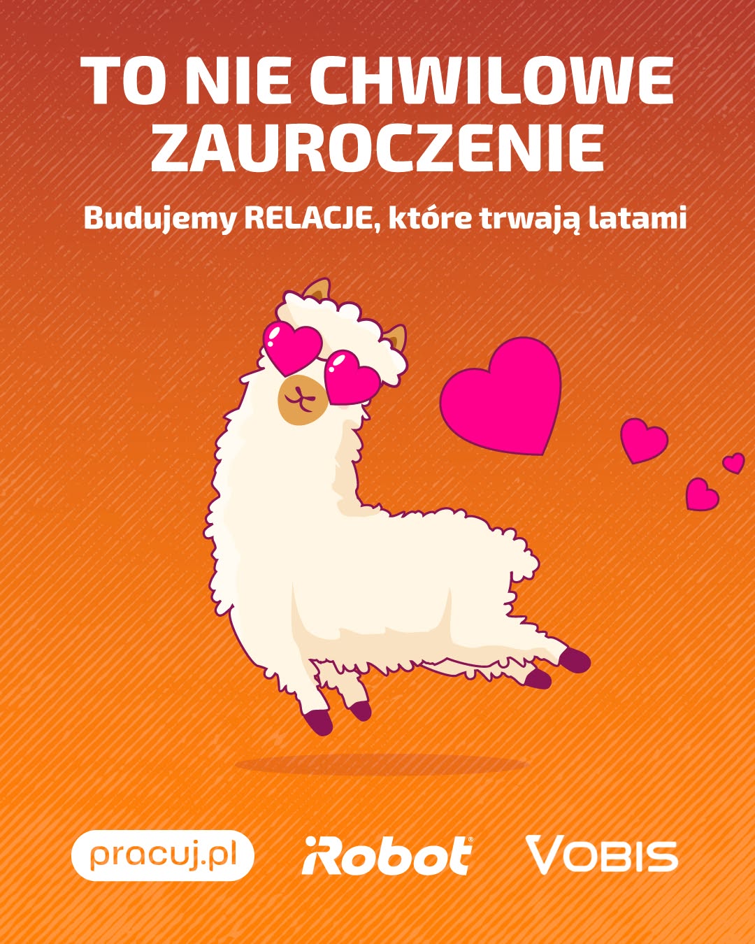 Walentynkowa kreacja pracuj.pl, iRobot i Vobis — zakochana lama i hasło „To nie chwilowe zauroczenie”