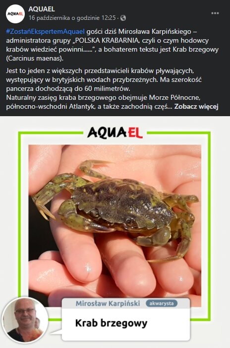 Aquael campaign creative
