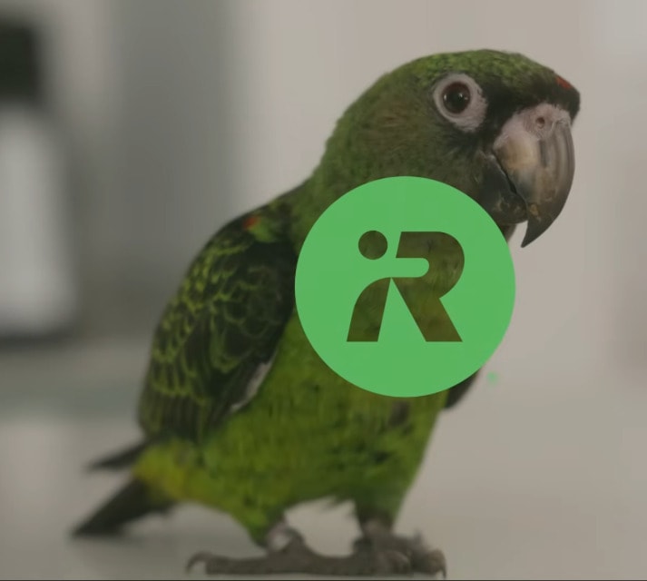 Kadr z humorystycznego filmu iRobot — zielona papuga w mieszkaniu, na środku zielone logo iRobot