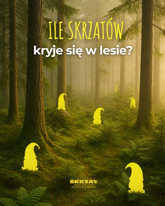 Promotional graphic "How many gnomes are hiding in the forest?" with gnome silhouettes in a sunlit forest